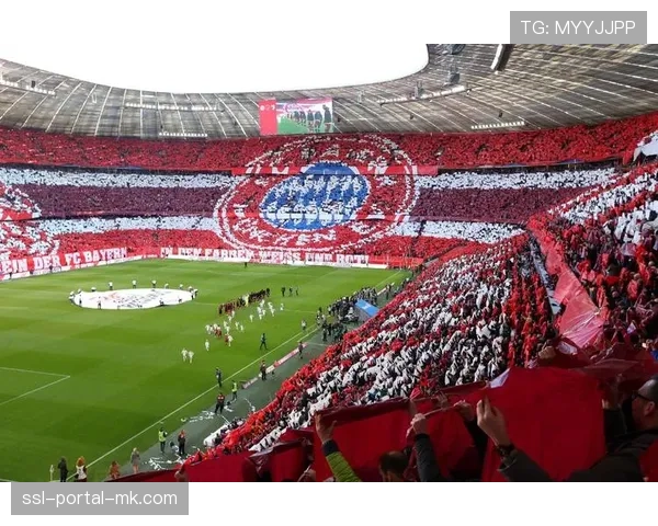 拜仁慕尼黑宣布安联球场将于今夏启动座椅与照明系统升级工程